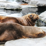 Památky UNESCO s dětmi -Schönbrunn